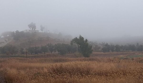 گرد و غبار دید افقی قصرشیرین را کاهش داد؛ بارش‌ها ادامه دارد