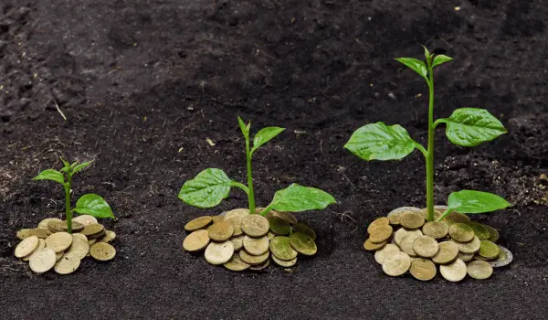 کشت جایگزین در کرمانشاه؛ راهکار افزایش درآمد کشاورزان